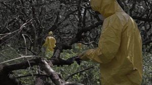 El Proyecto (documental) (protegido)