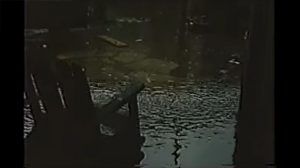 El Fanguito (documental)