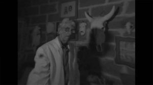 Diario de la niebla (ficción)
