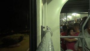Julio, el caracol y otros apuntes que llegan hasta enero (Vol. 4) (serie documental) (protegido)