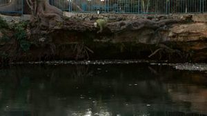 de agua dulce (documental)