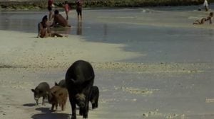Verdadero Beach, la playa del pueblo (documental)