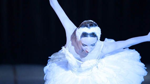 La muerte del cisne Cine Cubano en Cuarentena