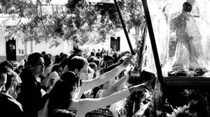 Las flores del cambio (documental)