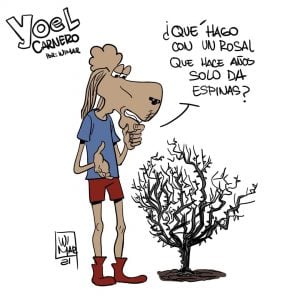 Una de las viñetas de la serie ‘Yoel Carnero’ de Wimar Verdecia (imagen tomada del perfil de Facebook del autor)