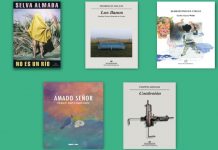 Lista corta del Premio de Novela Fundación Medifé Filba 2021, Argentina