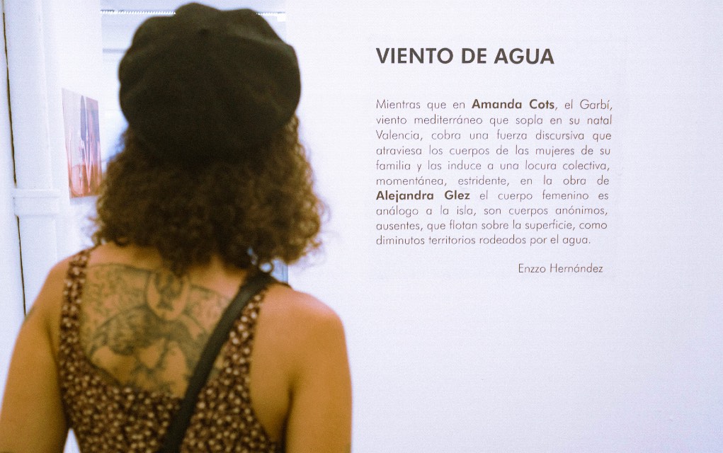 Inauguración de la muestra ‘Viento de agua’. ONA Galería, La Habana Vieja. (FOTO Rolando Cabrera)