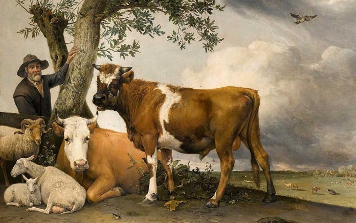 ‘The Bull’, Paulus Potter, 1647. MAURITSHUIS