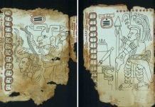 Páginas ocho y nueve del Códice Maya. Imagen: Biblioteca Nacional de Antropología e Historia, Secretaría de Cultura-INAH-México.