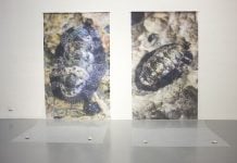Vista de la exposición ‘Ojos de hueso’, de Celia González, galería Ángeles Baños de Badajoz, España