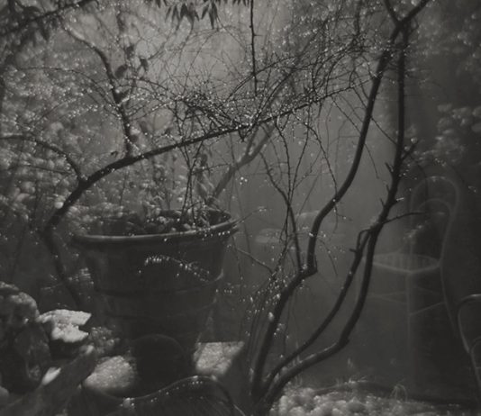 'A Summer Shower in the Magic Garden', Josef Sudek