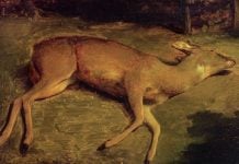 'Biche morte', Gustave Courbet, 1857