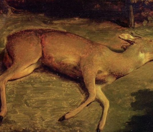 'Biche morte', Gustave Courbet, 1857