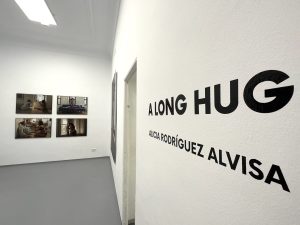Vista de ‘A Long Hug’, una exposición de Alicia Rodríguez Alvisa en Madrid.
