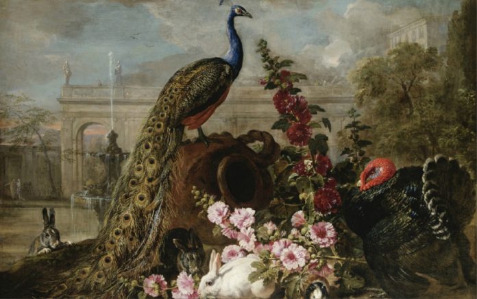 animales, año del animal