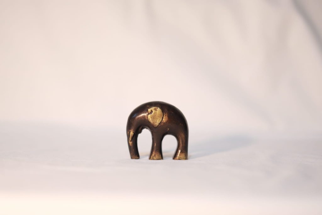 Elefante Olga Elena Suarez | Rialta