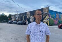 Víctor Alfonso Cedeño, Vito: soy uno con la Fuerza y la Fuerza está conmigo animación cubana, Víctor Alfonso Cedeño