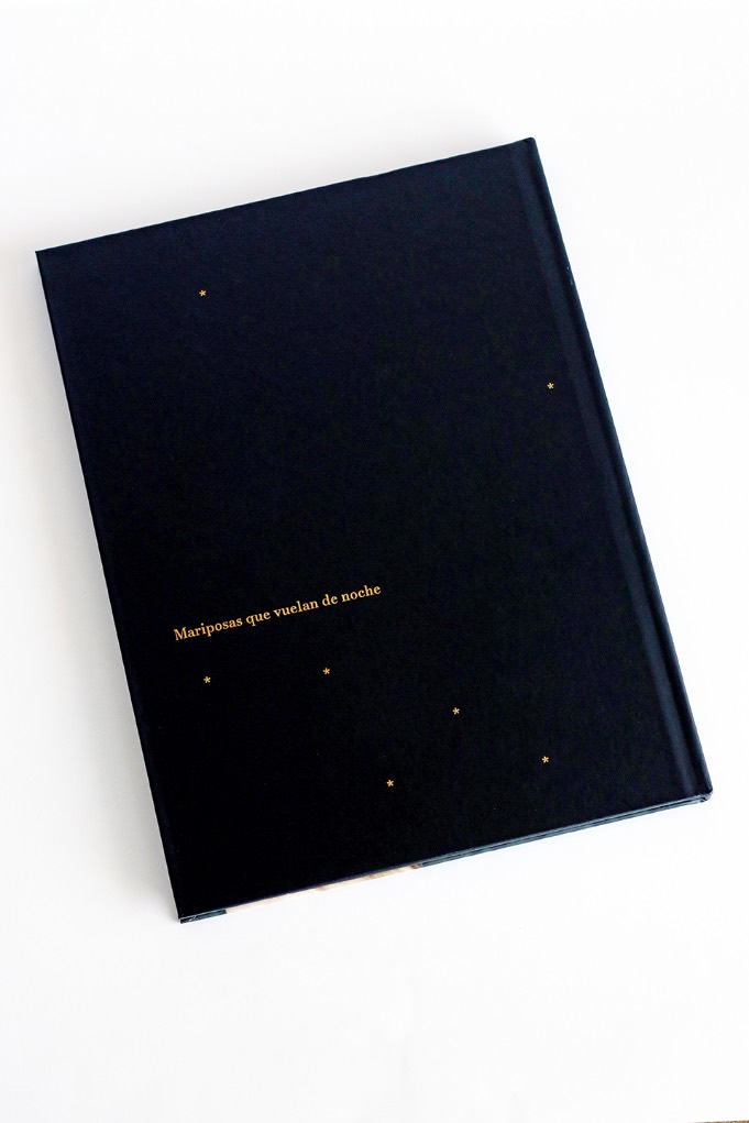 ‘Mariposas que vuelan de noche’ (Tres Olas Ediciones, 2024); Kenny Lemes