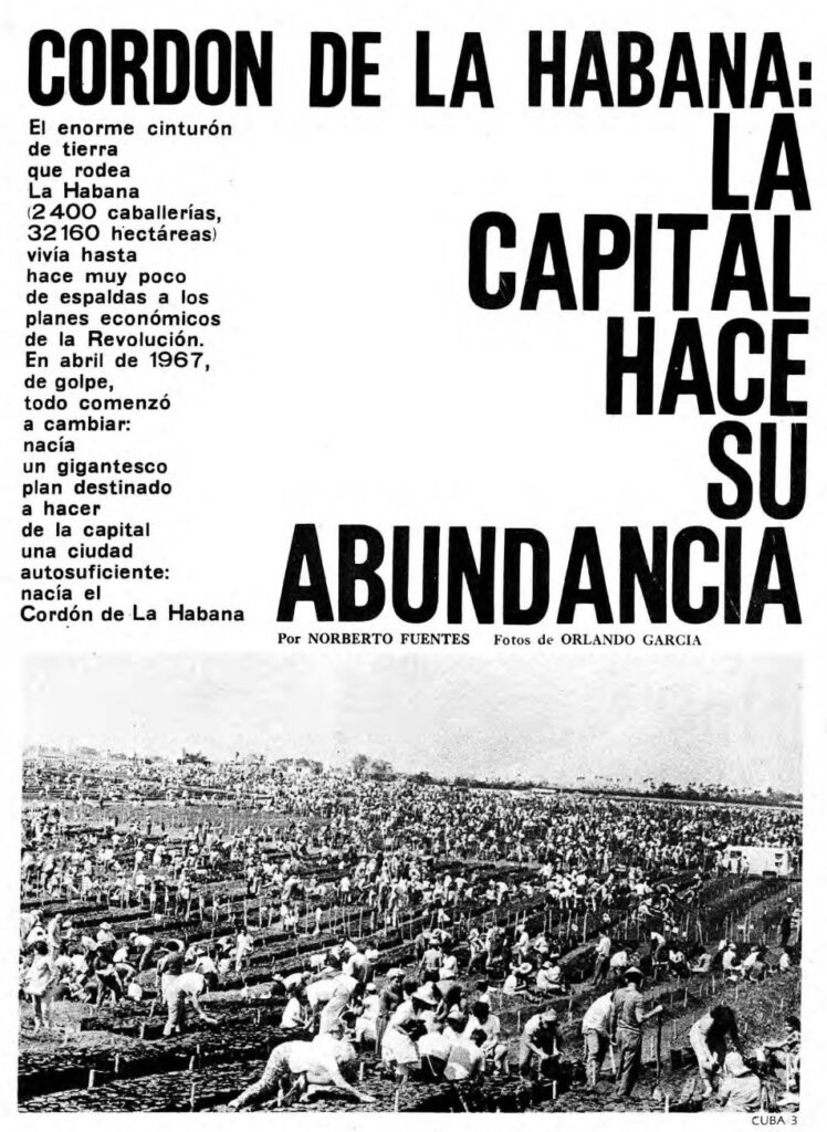 6 | Rialta