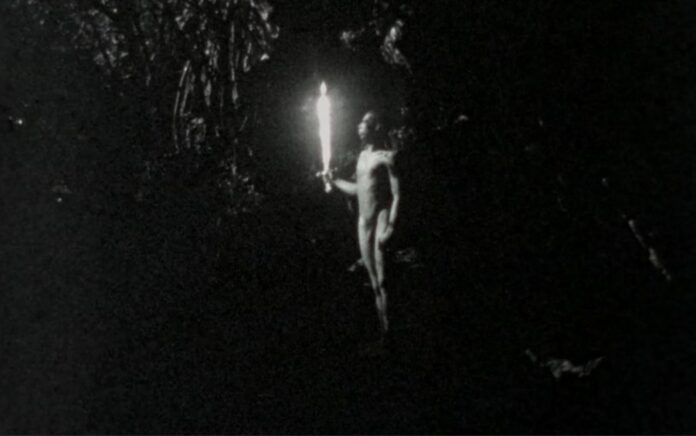 la selva oscura