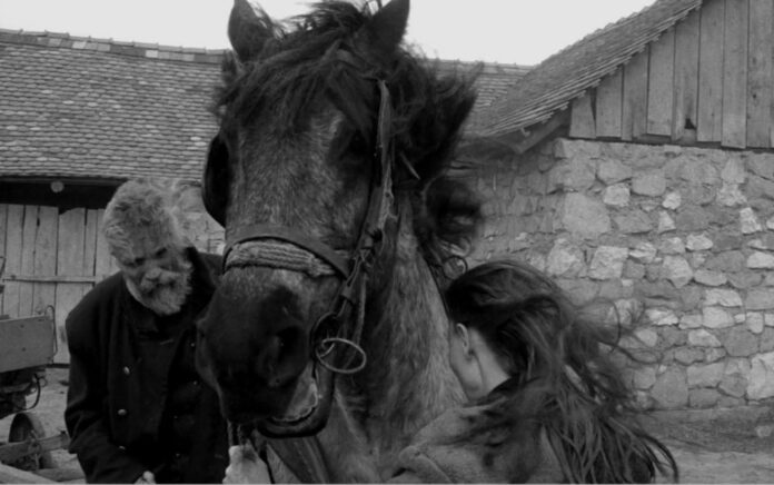 caballo