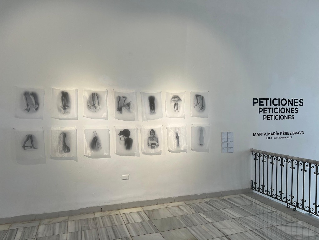 ‘Peticiones’; Marta María Pérez Bravo