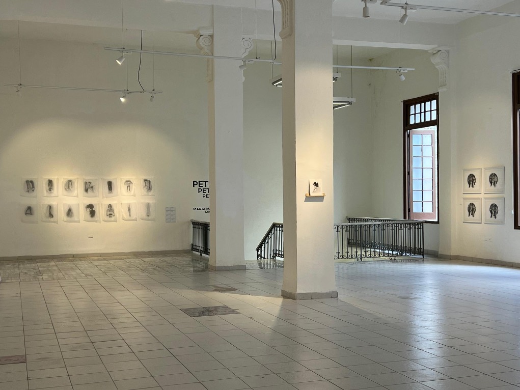 ‘Peticiones’; Marta María Pérez Bravo