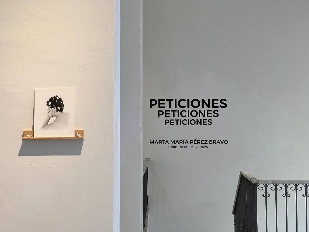 ‘Peticiones’; Marta María Pérez Bravo