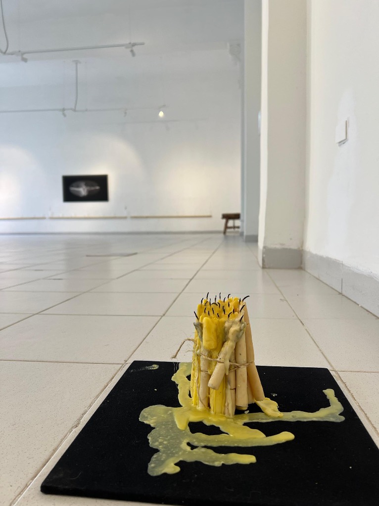‘Peticiones’; Marta María Pérez Bravo