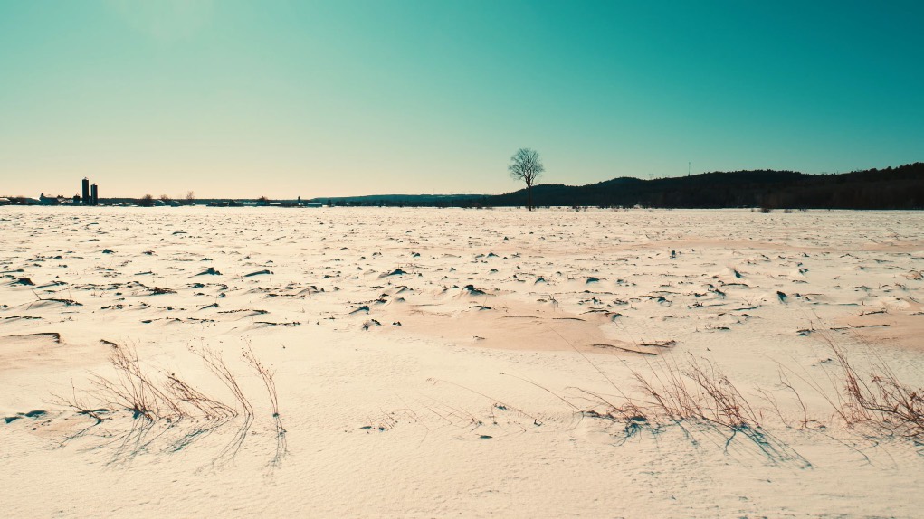 Still de ‘La cabane’ (2025, 10ˈ); Maude Gagnon y Yordanis Domínguez Báez