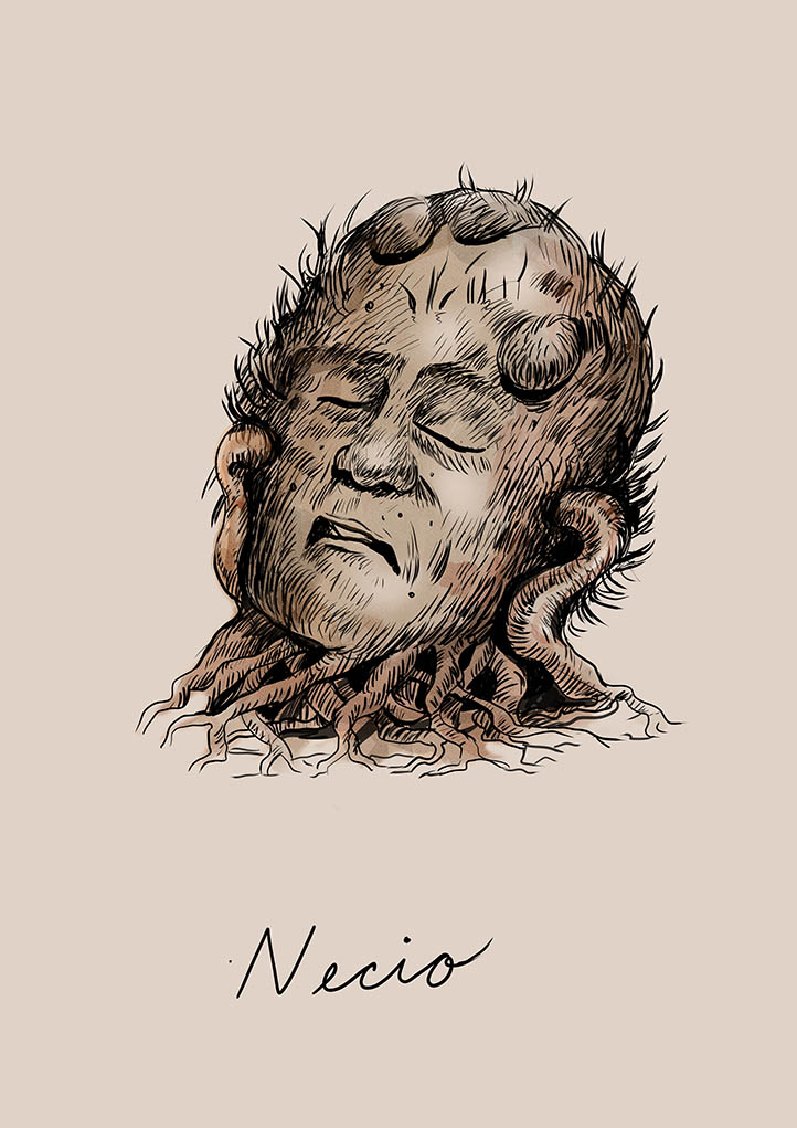 Necio dibujo de Camila Lobon | Rialta