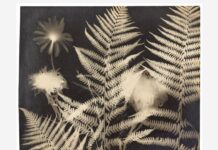 Man Ray y Robert Rauschenberg: Nueva York acoge sendas exposiciones de dos gigantes del siglo XX Rayografía de Man Ray (1922). Exposición ‘Man Ray: When Objects Dream’, en el Metropolitan Museum of Art (Met) de Nueva York