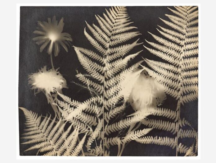 Rayografía de Man Ray (1922). Exposición ‘Man Ray: When Objects Dream’, en el Metropolitan Museum of Art (Met) de Nueva York