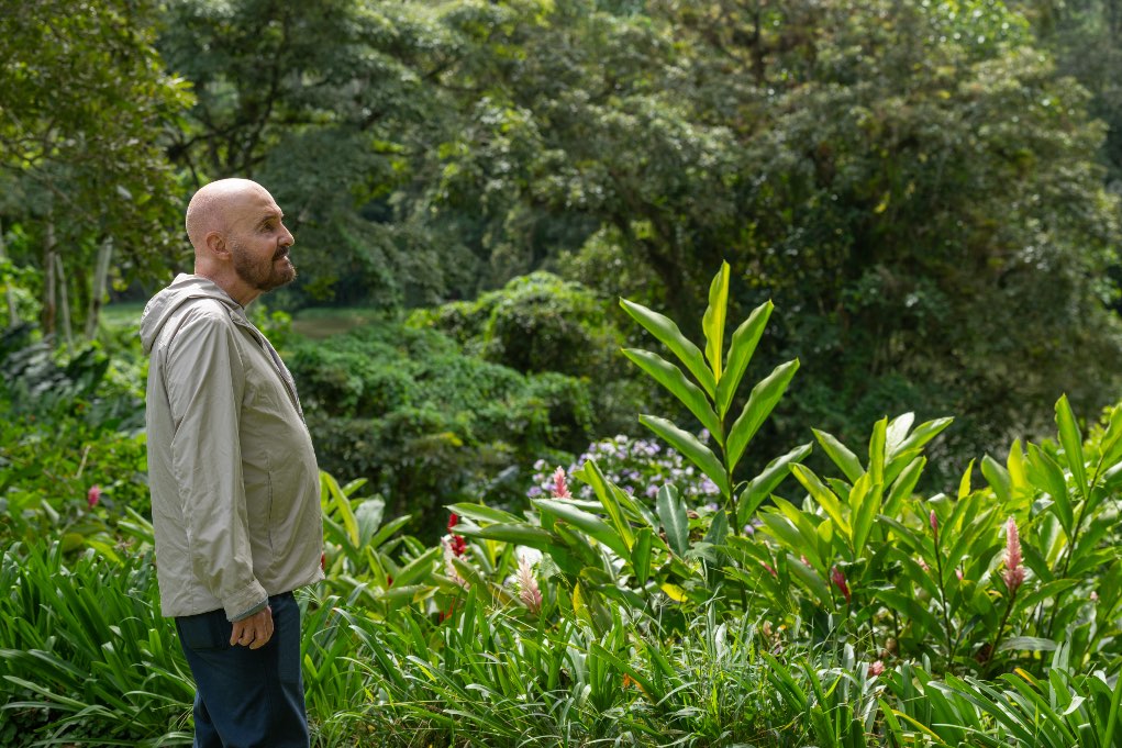Tomás Sánchez, pintor cubano