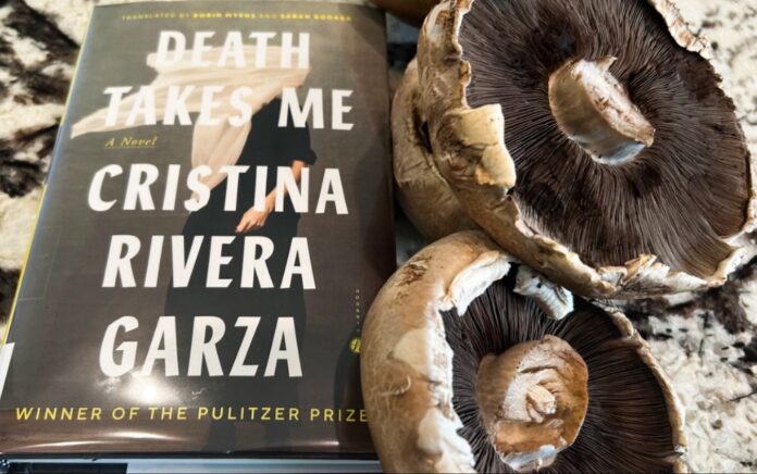 ‘Death Takes Me’ (Hogarth, 2025); Cristina Rivera Garza (IMAGEN X / @thenextpage22)