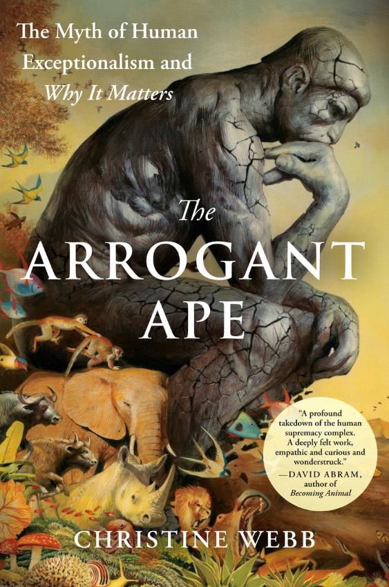 ‘The Arrogan Ape’ (Avery, 2025); Christine Webb
