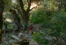 ‘Short Summer’. Entrevista a la cineasta Nastia Korkia