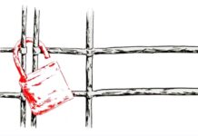 Toma fuerza una nueva campaña de la sociedad civil independiente para que el gobierno cubano libere a sus presos políticos Imagen (detalle) de la petición “¡Amnistía ya!” dirigida al Parlamento cubano para la liberación de los presos políticos