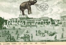 ‘Artista de calidad’ de Carlos Rodríguez Cárdenas, o de cómo el arte se adelanta al artista