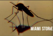 ‘Miami Stories’: el realizador cubano Eliecer Jiménez Almeida estrenará filme en el próximo festival de Miami ‘Miami Stories’; Eliecer Jiménez Almeida