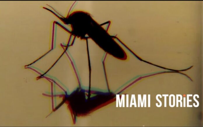 ‘Miami Stories’; Eliecer Jiménez Almeida