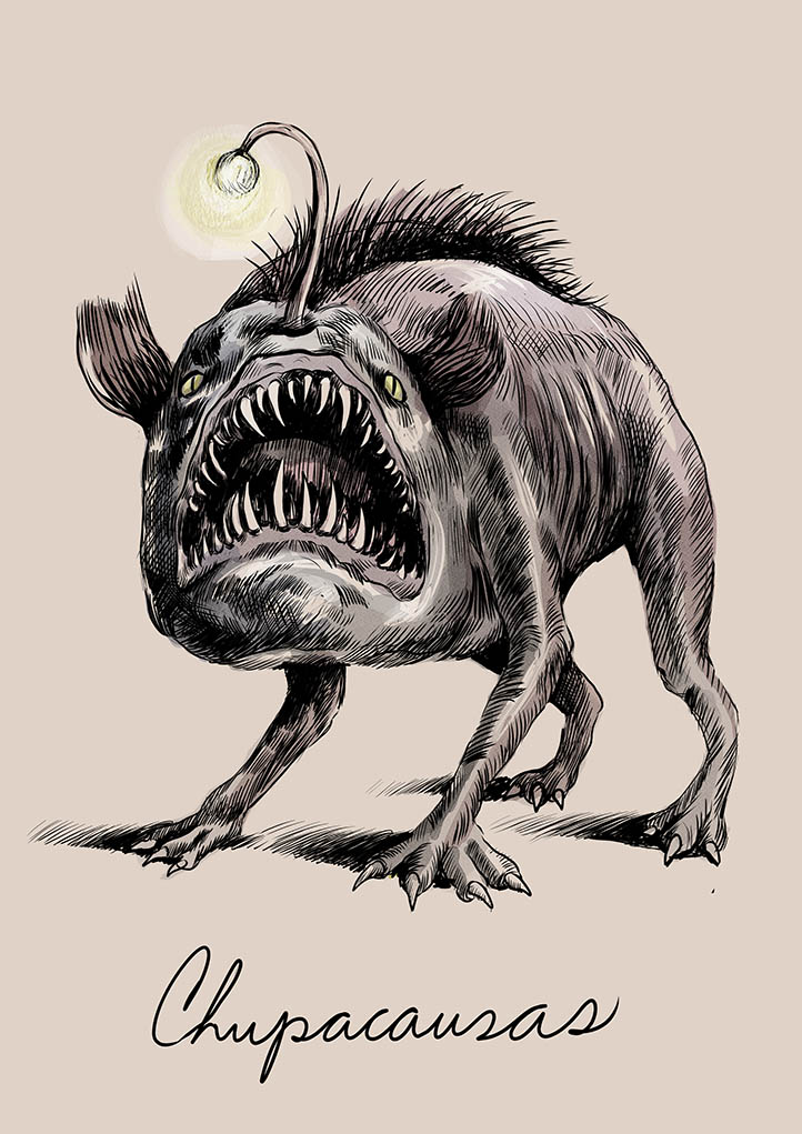 Chupacausa dibujo de Camila Lobon | Rialta