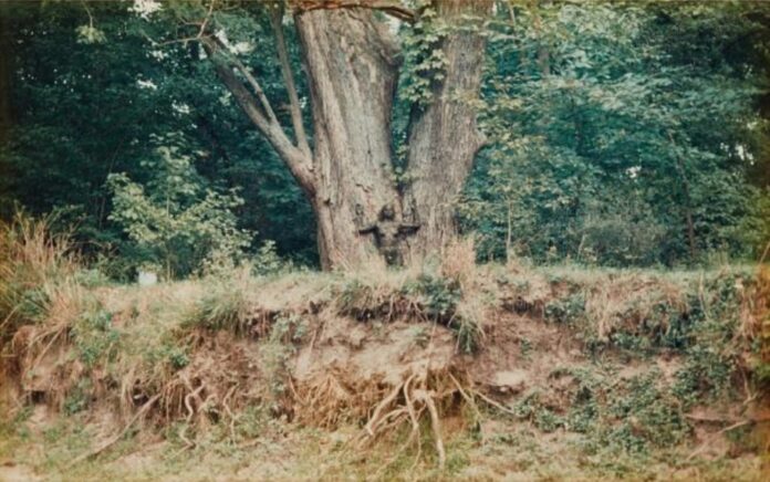 De ‘Silueta’ (1973-1980, obra en Iowa); Ana Mendieta