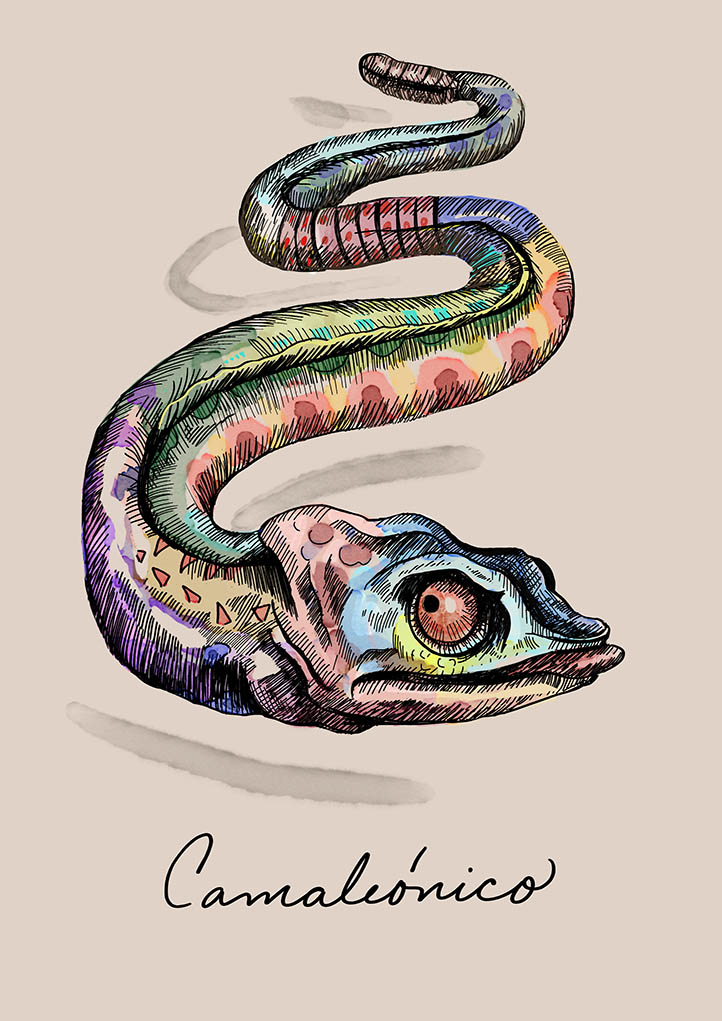 Camaleonico dibujo de Camila Lobon | Rialta
