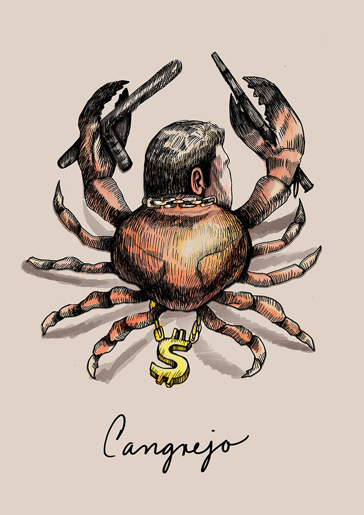 Cangrejo dibujo de Camila Lobon portada | Rialta
