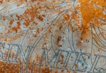 Exposición ‘I’ve Grown Tired / I’ve Grown Hopeful’: tensión y sensibilidad transnacional