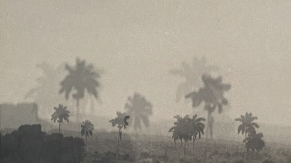 Still de 'Oikos' (2026, 10′); Hanzer González Garriga