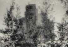 ‘Oikos’ de Hanzer González: la migración como paisaje y misterio Still de 'Oikos' (2026, 10′); Hanzer González Garriga