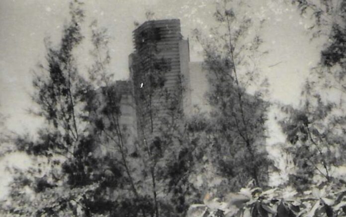 Still de 'Oikos' (2026, 10′); Hanzer González Garriga