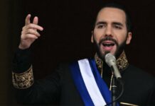 De qué hablamos cuando hablamos de autoritarismo autoritarismo